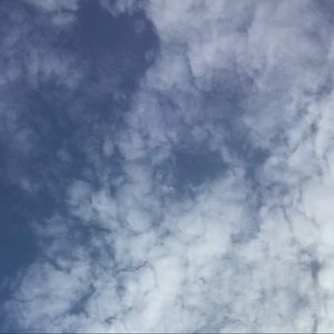 Meet your Posher, Lizbeth